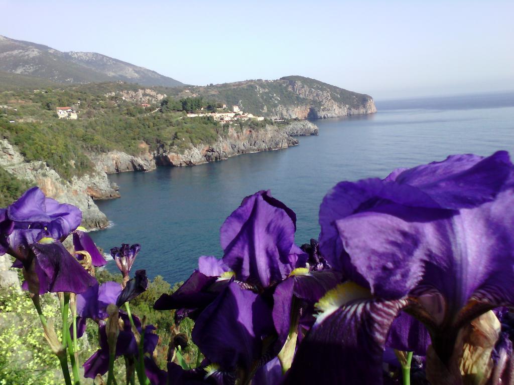 Kapetaniou Apartments Limniónas Dış mekan fotoğraf